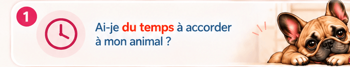 Ai-je du temps à accorder à mon animal ?